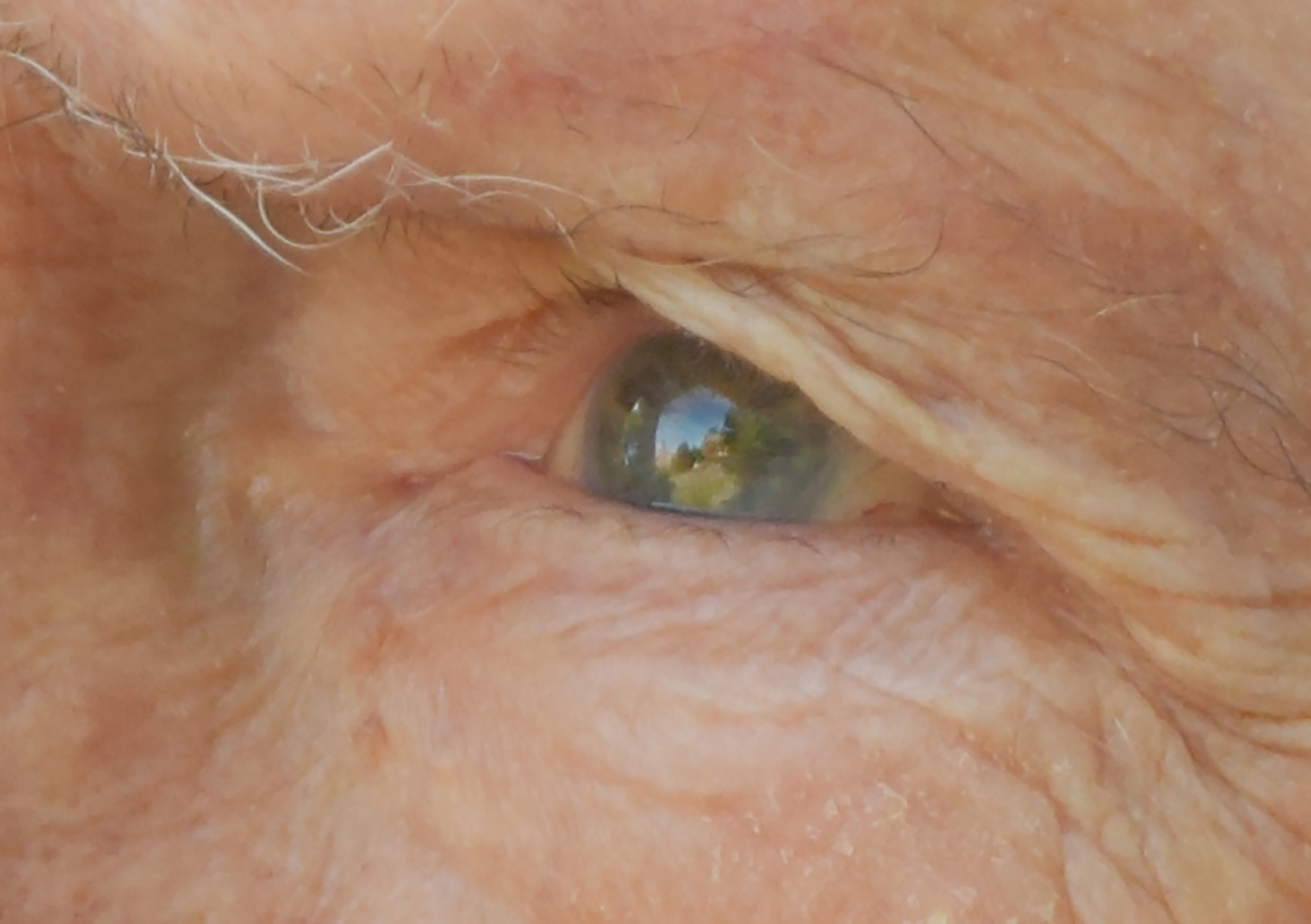 3rd PrizeAssigned Pictorial In Class 1 By Jennifer Carter For From The Portico LOOKING FOR YESTERYEAR OCT-2025.jpg